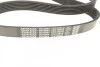 Ремень поликлиновой DAYCO 7PK1687S (фото 4)