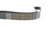 Дорожный пас DAYCO 8PK1240HD (фото 4)