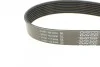 Ремень поликлиновой DAYCO 8PK1295 (фото 3)