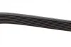 Ремінь генератора MB Vario OM900/904 96- DAYCO 8PK1425HD (фото 4)