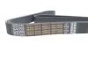Ремень 8PK1795 усиленный! DAYCO 8PK1795HD (фото 4)