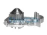 DAYCO  RENAULT Помпа воды 19,Clio,Rapid 86- DP050