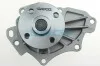 Насос DAYCO DP300 (фото 1)