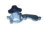 Насос DAYCO DP355 (фото 2)