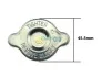 Кришка радіатора Renault Koleos 08-/Toyota Corolla/Mazda 323/Mitsubishi Lancer 84- (0.9bar) DRC002