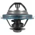 TERMOSTAT DT1009V