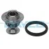 DAYCO Темостат LAND ROVER DEFENDER Cabrio 2.5 TDI 90-01, DISCOVERY I 2.5 TDI 89-98 DT1323V