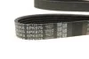 Роликовий модуль натягувача ременя (ролик, ремінь) DAYCO KPV333 (фото 5)
