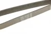 Роликовый модуль натяжителя ремня (ролик, ремень) DAYCO KPV436 (фото 5)
