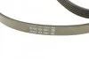 Комплект доріжкових пасків DAYCO KPV521 (фото 3)