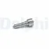 Розпилювач   FORD Transit 00-06 L145PBD