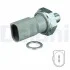 Датчик тиску масла (2,8Бар, 2 pin) AUDI A4 B8, A5, A6 ALLROAD C6, A6 ALLROAD C7, A6 C6, A6 C7, A7, A8 D3, A8 D4, Q5, Q7 VW TOUAREG 2.8-4.2D 11.06-09.18 Delphi SW90053 (фото 1)