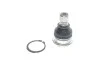 Кульова опора NISSAN/RENAULT Qashqai/X-Trail(T31)/Koleos (HY0) "F "07>> TC1989