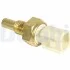 Czujnik temperatury pіynu chіodz№cego TS10288