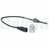 Exhaust fumes temperature sensor TS30021