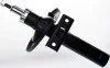 Ам-тор перед. газ. VW Sharan 96-10 /Ford Galaxy 95-06 /Seat Alhambra 96-10 DSB124G