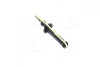 Амортизатор задний Nissan Primera (P12) 01-08 (газ.) DSC020G