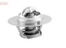 Termostat HYUNDAI / KIA / JEEP ix35 / TUCSON / SPORTAGE IV / WRANGLER II / CHEROKEE (XJ) DTM91702