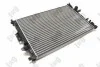 Радіатор охолодження двигуна Focus/Mondeo/S60/S80/V70/XC60 06- DEPO 017-017-0049 (фото 2)