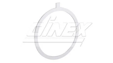 Прокладки, випуск.. Dinex 8AL001