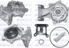 Водяний насос Transit 2.0Di/TDCi 00-06 DOLZ F149