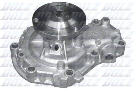 Водяний насос DOLZ R165