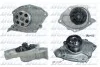 Водяний насос Megane/Laguna/Scenic 1.9dCi 02- DOLZ R234