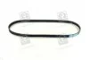 Ремень генератора Getz1.3 Accent Elantra 96-00 4PK897