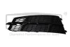 Ґрати протитуманної фари лівої Audi A6 (11-) DPA 88071855102 (фото 1)