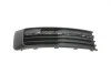 Решітка протитуманної фари ліва VW T6 (15-) (88531791202) DPA