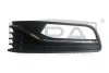 Решітка протитуманної фари ліва VW Polo (6R1, 6C1) (09-) DPA 88541621002 (фото 1)