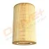 FILTR POWIETRZA SAAB 3.0TDI 01- /9-5/ DP1110100758