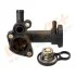 TERMOSTAT MINI R50,R53,R52 1.6 01- DP2310140744