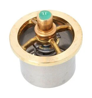 Термостат DT 6.30308