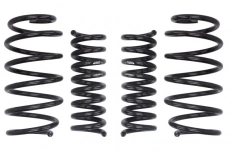 Комплект занижених пружин EIBACH E10-25-019-07-22