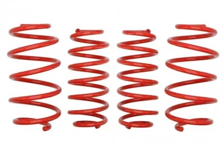 Комплект занижених пружин EIBACH E10-30-012-02-22