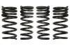 Занижуючі пружини, Pro-Kit, 4шт, (25мм / 20мм), (940кг / 940кг), NISSAN 370Z 3.7 06.09- EIBACH E10-63-020-01-22 (фото 1)