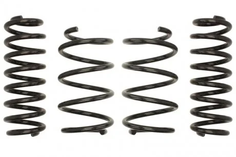 Комплект занижених пружин EIBACH E10-85-041-01-22