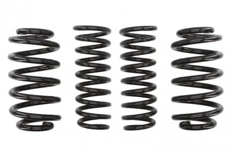 Фото 1 - комплект занижених пружин EIBACH E1569-140 Комплект занижених пружин EIBACH E1569-140 (фото 1)
