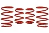 Комплект занижених пружин EIBACH E20-20-004-08-22 (фото 1)