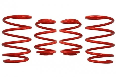 Комплект занижених пружин EIBACH E20-20-004-08-22
