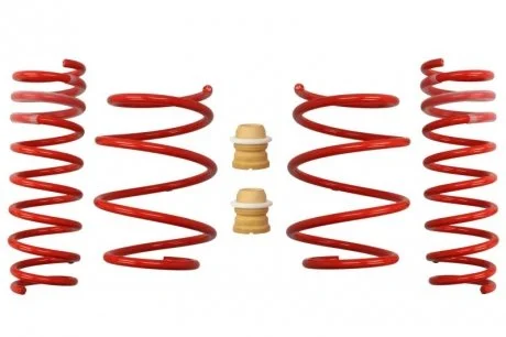 Комплект занижених пружин EIBACH E20-20-011-01-22