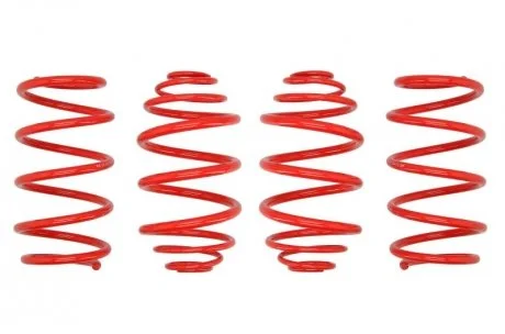 Комплект занижених пружин EIBACH E20-65-001-01-22