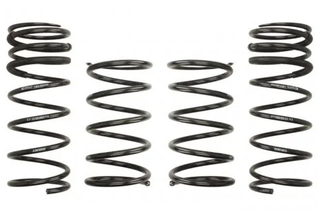 Комплект занижених пружин EIBACH E5526-140