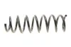 Пружина (передня) BMW 5 (F10/F11) 520d/520i/523i/528i/530i 10-17 (седан/універсал) (без М-техніки) R23063