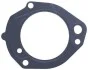 Прокладка топливного насоса DB OM 900/902/907/926 002.070