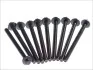К-кт болтов ГБЦ (к-кт 10шт)) Opel Agila,Astra G,Corsa B/C/D/Suzuki Wagon 1.0 96- 125.920