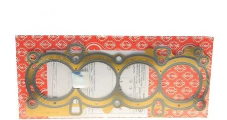 Прокладка головки блоку циліндрів FORD/MAZDA/VOLVO Focus 1,6 99-11 ELRING 255.050