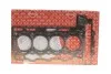 Прокладка ГБЦ Citroen C4/C5/Peugeot 207/208/3008 1.6 06- (1.20 mm) 295751