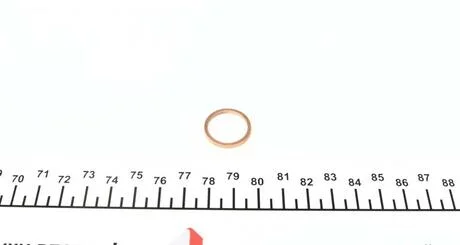 Елемент вприску ELRING 297.170 (фото 1)